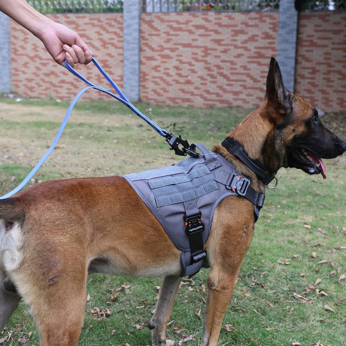 Premium Tactical Dog Harness for Medium Breeds - Full Metal Buckles, MOLLE Compatible, Reflective, Adjustable with 2 Leash Clips and Control Handle - No Pull Design in Stylish Grey